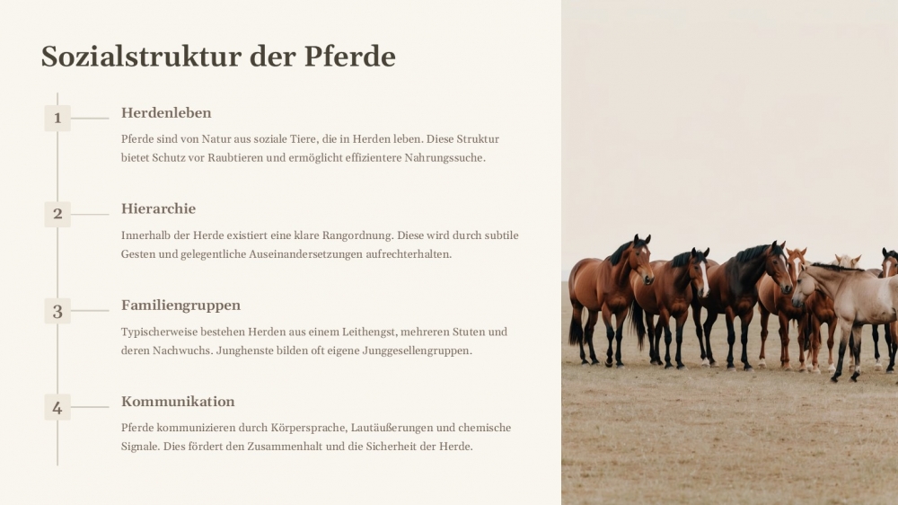 Bild 1 von PowerPoint Präsentation: Welt der Pferde – Lehrmaterial für Ausbilder und Schüler (Download) .pptx