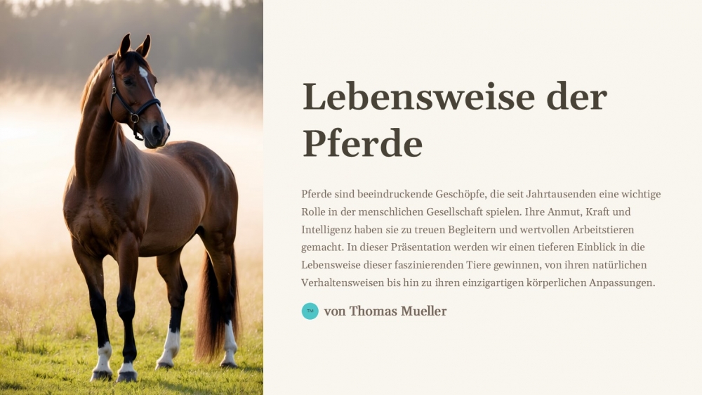 Bild 1 von PowerPoint Präsentation: Welt der Pferde – Lehrmaterial für Ausbilder und Schüler (Download) .pptx