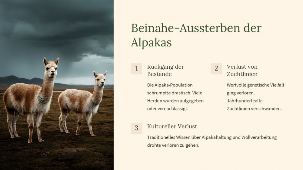 Bild 1 von PowerPoint-Präsentation: Welt der Alpakas– Lehrmaterial für Ausbilder und Schüler (Download) .pptx