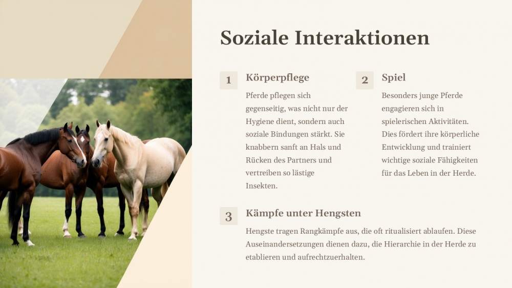 Bild 1 von PowerPoint Präsentation: Welt der Pferde – Lehrmaterial für Ausbilder und Schüler (Download) .pptx