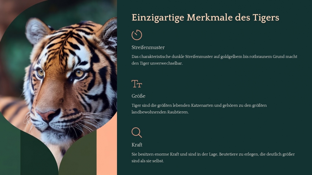 Bild 1 von PowerPoint Präsentation: Welt der Tiger – Lehrmaterial für Ausbilder und Schüler (Download) .pptx