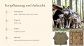 Bild 6 von PowerPoint Präsentation: Welt der Wölfe – Lehrmaterial für Ausbilder und Schüler (Download) .pptx