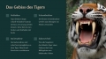 Bild 5 von PowerPoint Präsentation: Welt der Tiger – Lehrmaterial für Ausbilder und Schüler (Download) .pptx